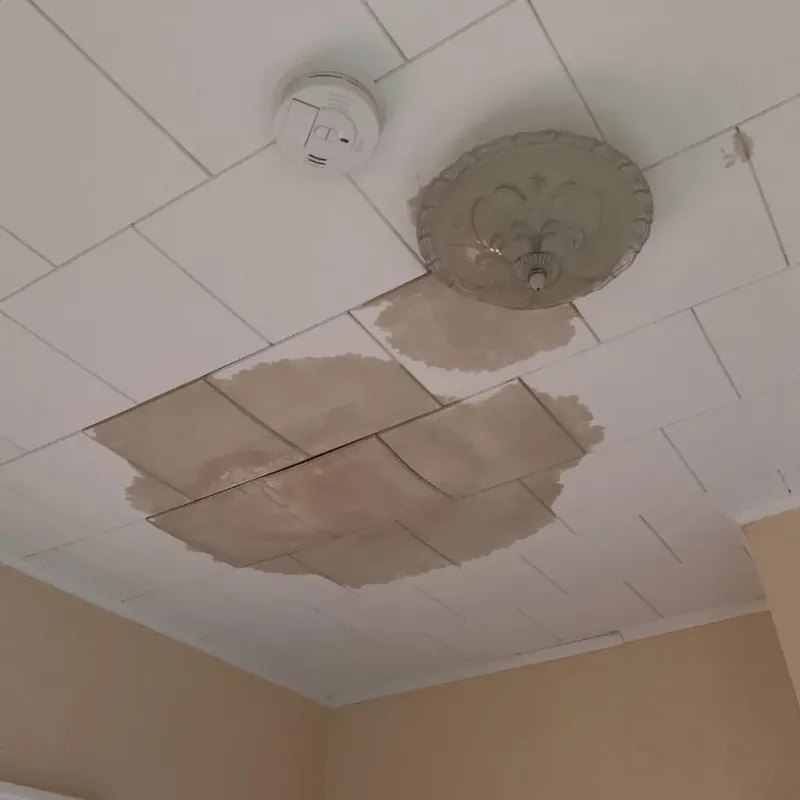 Ceiling Water Damage Repair in Appomattox, VA