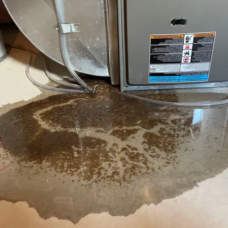 Pipe Burst and Leak Restoration in Appomattox, VA
