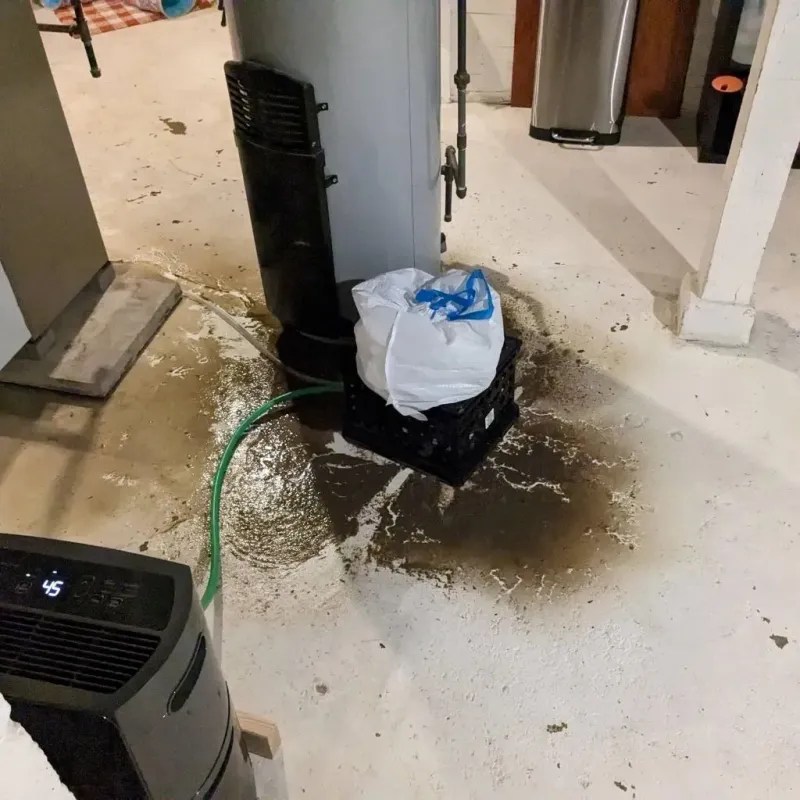 Sewage Backup Cleanup Service in Appomattox, VA
